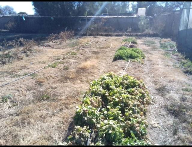 FARM FOR SALE IN NANESCOL